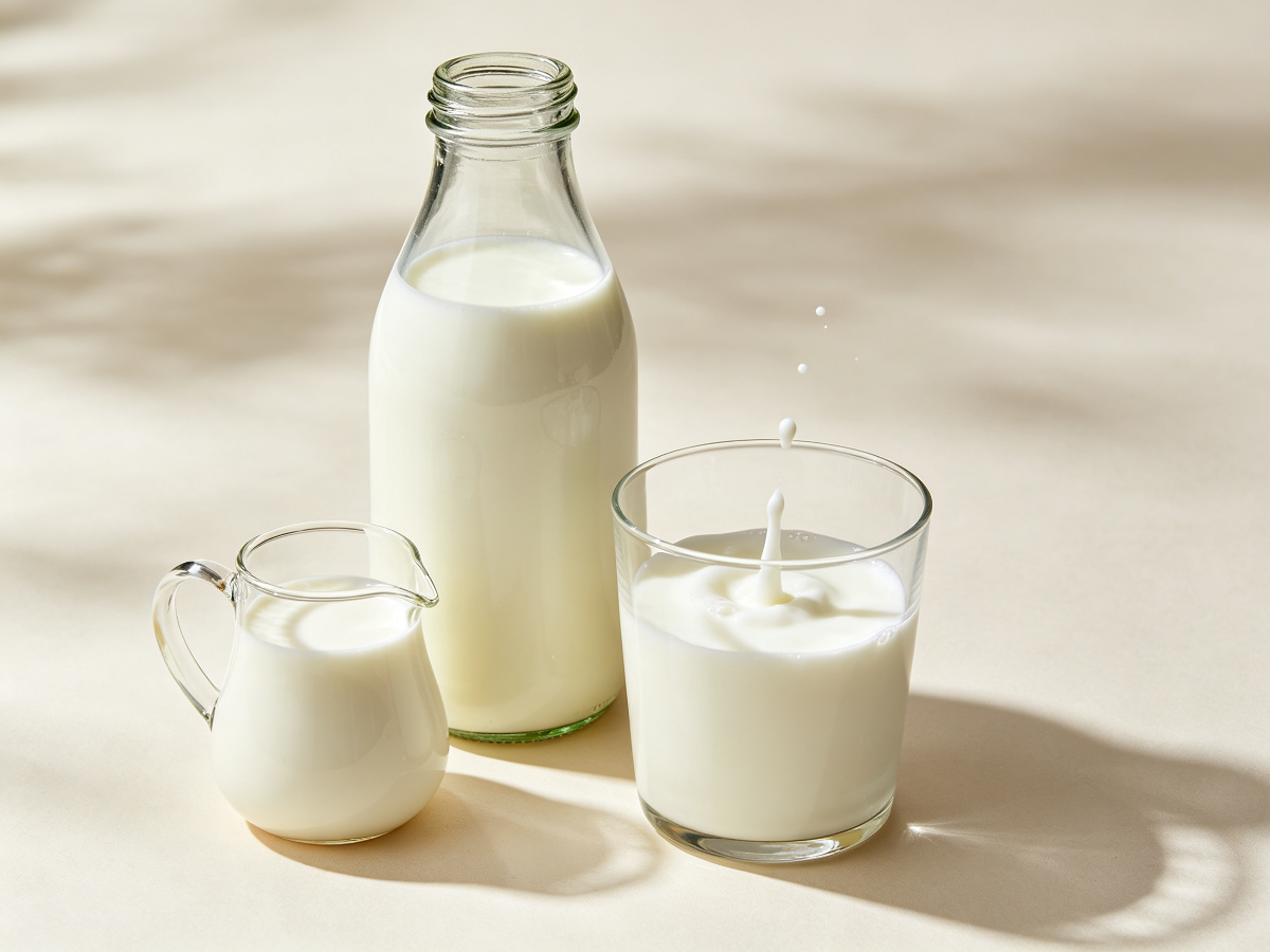 鲜牛乳与奶基底